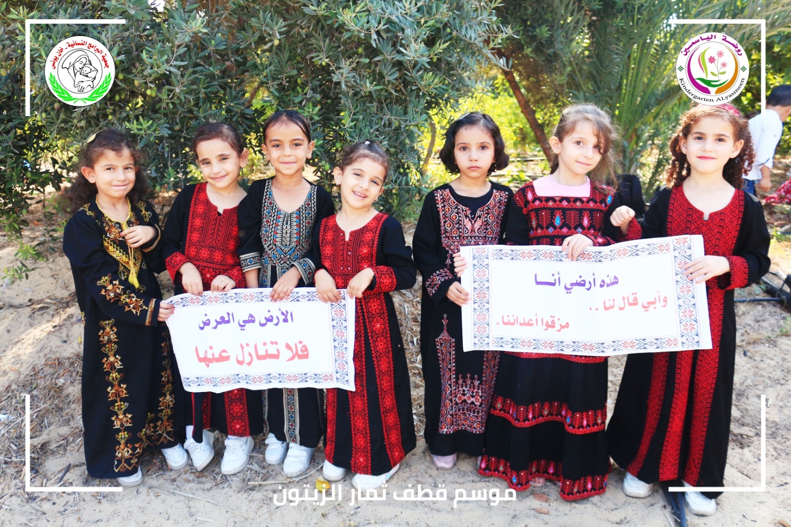 روضة الياسمين _موسم الزيتون