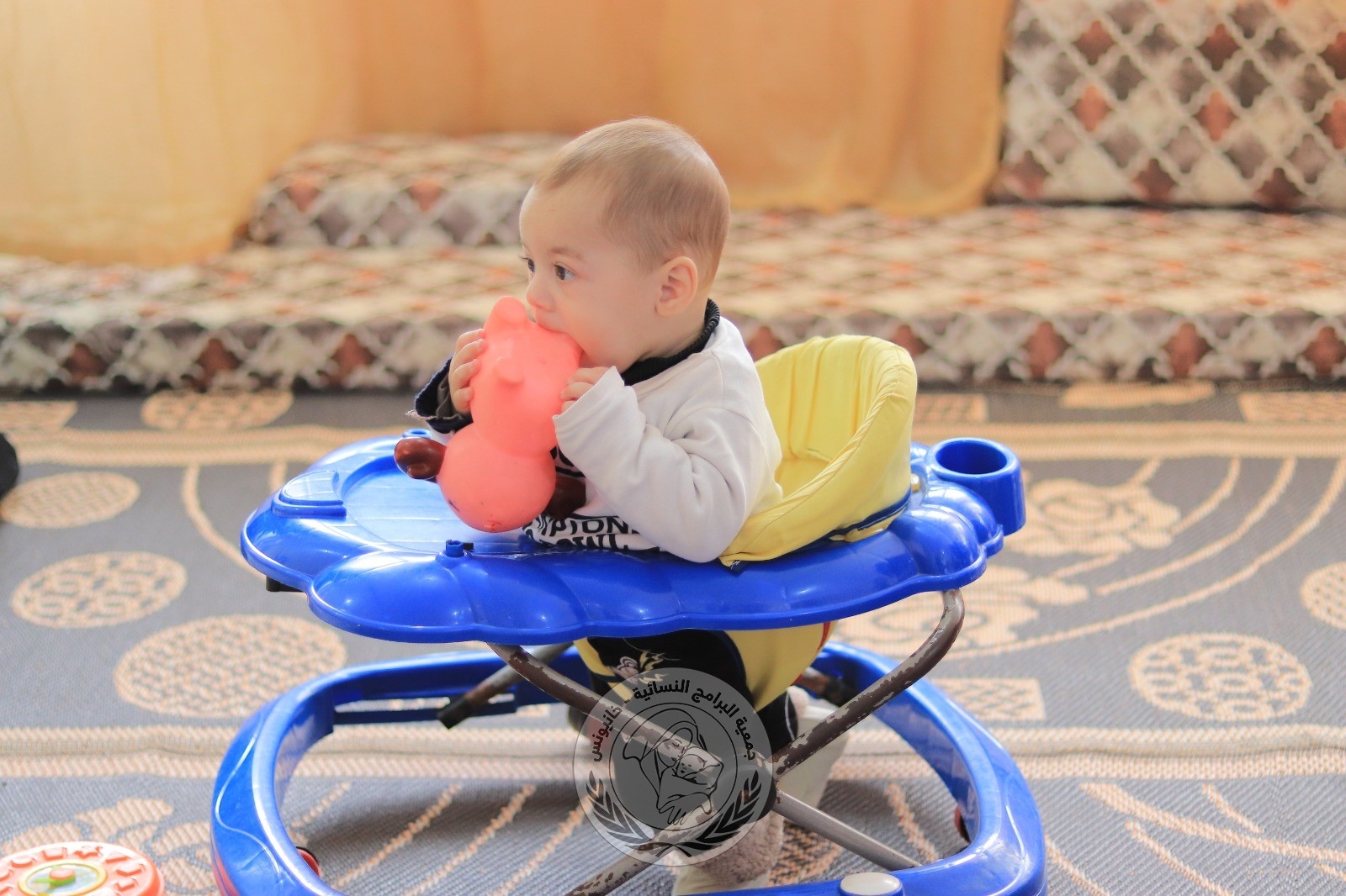 حضانة البرامج النسائية