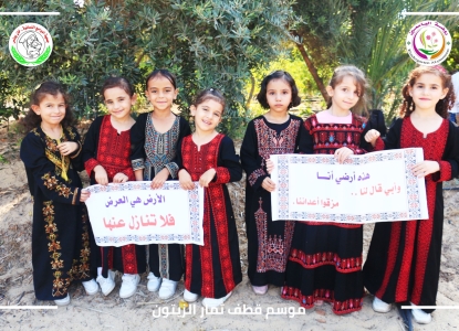 روضة الياسمين _موسم الزيتون